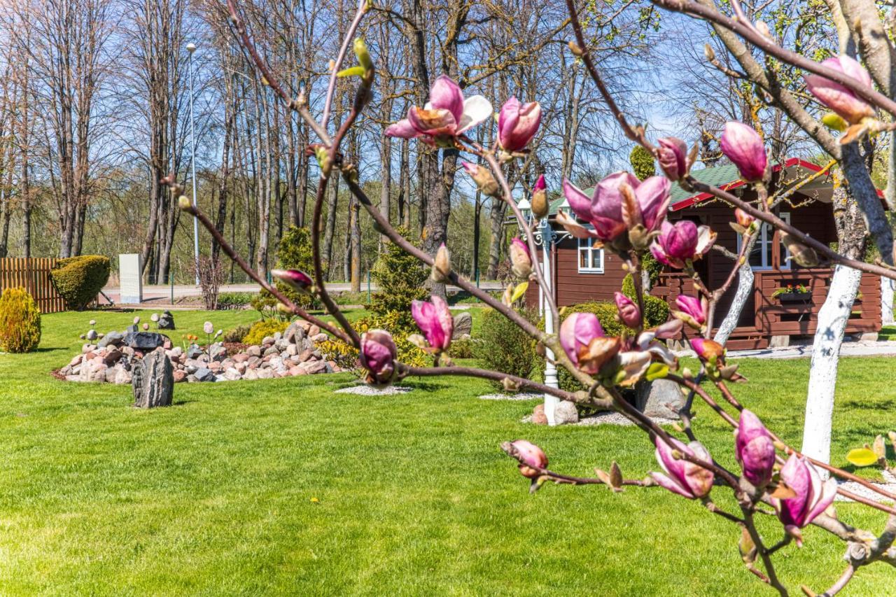 Zaliasis Kampas Nameliai Sventojoje Villa Šventoji Buitenkant foto